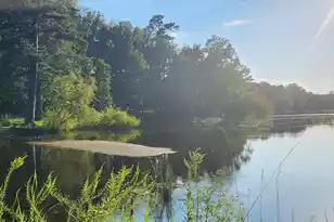 209 Ash Hill Dr, Eutawville, SC 29048 - Photo 8