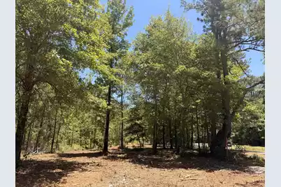 0 Tumbleweed Rd, Smoaks, SC 29481 - Photo 8