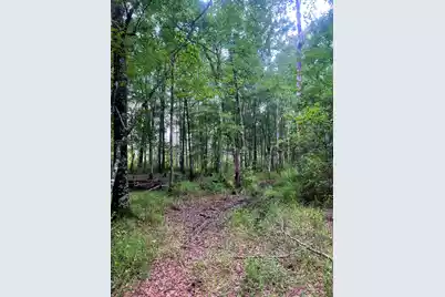 2150 Hughes Drive, Cottageville, SC 29435 - Photo 8