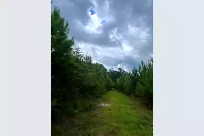 2150 Hughes Drive, Cottageville, SC 29435 - Photo 6