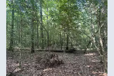 0 Swamp Fox Drive, Summerville, SC 29485 - Photo 14
