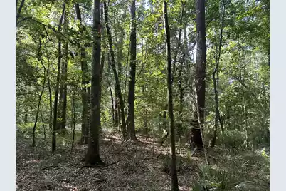 0 Swamp Fox Drive, Summerville, SC 29485 - Photo 24