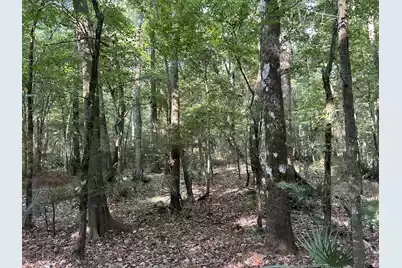 0 Swamp Fox Drive, Summerville, SC 29485 - Photo 18