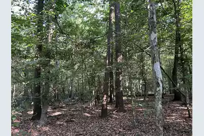 0 Swamp Fox Drive, Summerville, SC 29485 - Photo 6