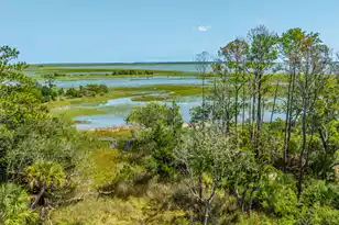 3640 Tidal Flat Cir, Mount Pleasant, SC 29466 - Photo 54