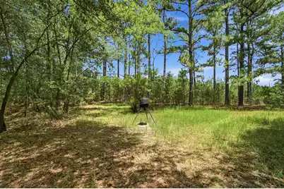 1530 Catfish Lane, Manning, SC 29102 - Photo 30