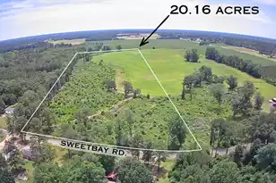 Tbd Sweetbay Rd, Saint Matthews, SC 29135 - Photo 1