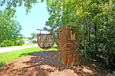 3797 Tupelo Church Lane, Mount Pleasant, SC 29429 - Photo 52