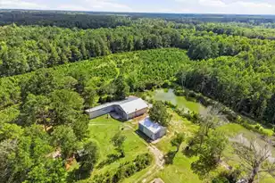 1566/1966 Hoffman Dr, Manning, SC 29102 - Photo 40