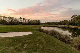 2618 Kiln Creek Cir, Mount Pleasant, SC 29466 - Photo 64