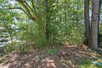 0 Marsh Flower Lane, Charleston, SC 29414 - Photo 6