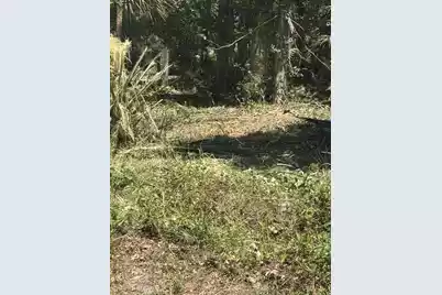 609 Jungle Road, Edisto Beach, SC 29438 - Photo 2