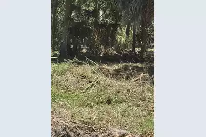 609 Jungle Road, Edisto Beach, SC 29438 - Photo 4