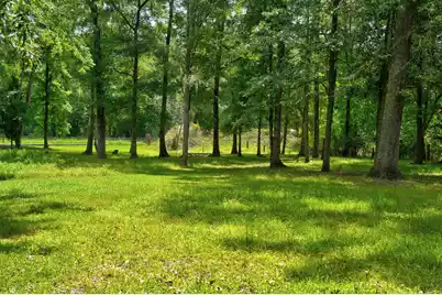 118 Sellars Circle, Summerville, SC 29483 - Photo 54