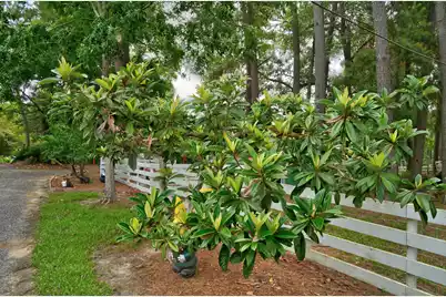 118 Sellars Circle, Summerville, SC 29483 - Photo 8