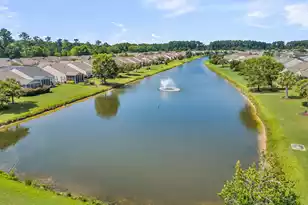 209 Sternside Run Ave, Summerville, SC 29486 - Photo 6