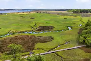 2415 Rice Pond Rd, Charleston, SC 29414 - Photo 68