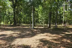 4466 Artemis Ln, Meggett, SC 29449 - Photo 10