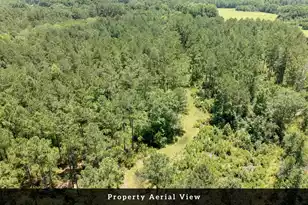 0 Toney Bay Rd, Holly Hill, SC 29059 - Photo 16
