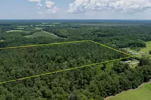0 Toney Bay Rd, Holly Hill, SC 29059 - Photo 8