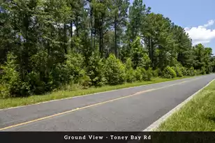 0 Toney Bay Rd, Holly Hill, SC 29059 - Photo 4