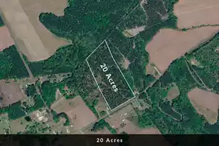 0 Toney Bay Rd, Holly Hill, SC 29059 - Photo 2