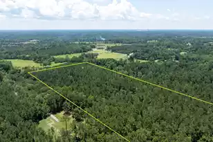 0 Toney Bay Rd, Holly Hill, SC 29059 - Photo 10