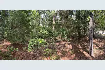 592 Jefferson Davis Avenue, Walterboro, SC 29488 - Photo 6
