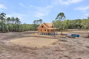 1114 Theodore Brunson Rd, Awendaw, SC 29429 - Photo 1