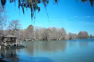 1010 Mulligan Dr, Manning, SC 29102 - Photo 2