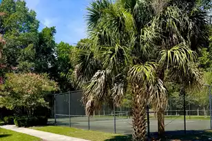 2494 Etiwan Ave, Charleston, SC 29414 - Photo 8