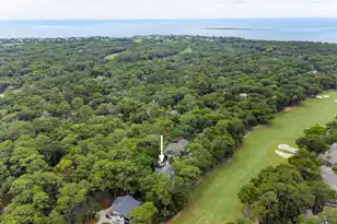 3335 Coon Hollow, Seabrook Island, SC 29455 - Photo 56
