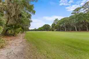 3335 Coon Hollow, Seabrook Island, SC 29455 - Photo 48
