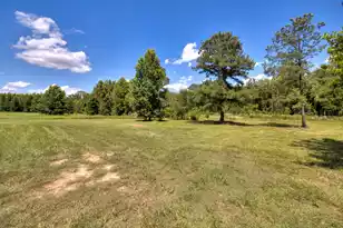 1646 Cleveland St, Elloree, SC 29047 - Photo 6