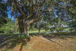 1513 Hwy 174, Edisto Island, SC 29438 - Photo 48