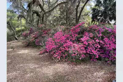 1513 Highway 174, Edisto Island, SC 29438 - Photo 72