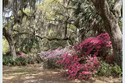 1513 Highway 174, Edisto Island, SC 29438 - Photo 76