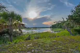 1513 Hwy 174, Edisto Island, SC 29438 - Photo 22