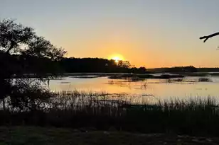 1513 Hwy 174, Edisto Island, SC 29438 - Photo 82