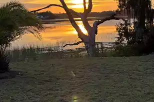1513 Hwy 174, Edisto Island, SC 29438 - Photo 34