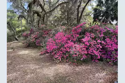 1513 Highway 174, Edisto Island, SC 29438 - Photo 80