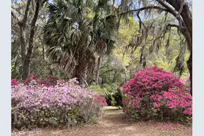 1513 Highway 174, Edisto Island, SC 29438 - Photo 30