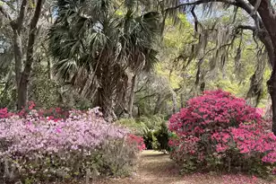 1513 Hwy 174, Edisto Island, SC 29438 - Photo 30