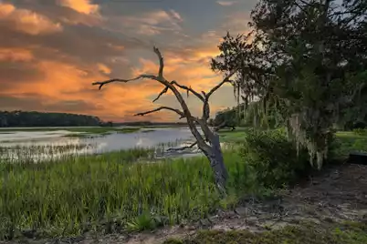 1513 Highway 174, Edisto Island, SC 29438 - Photo 2