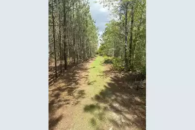 Tbd House Road, Summerton, SC 29148 - Photo 6