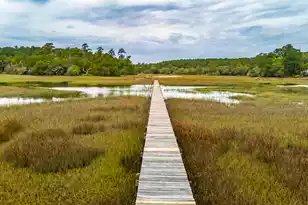 5038 Stono Plantation Dr, Hollywood, SC 29449 - Photo 92