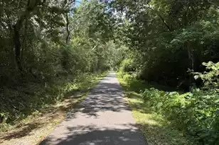 2435 Lantern St, Charleston, SC 29414 - Photo 38