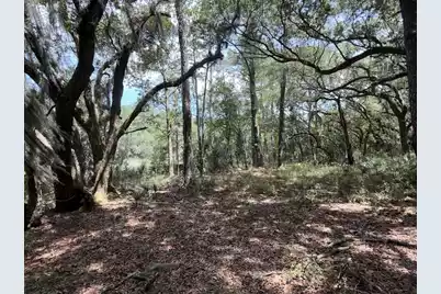 4491 Sc-165, Hollywood, SC 29449 - Photo 12