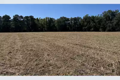 0 Clarks Hill Drive #3, Saint George, SC 29477 - Photo 6