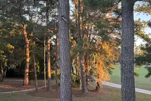182 Golfview Ln, Summerville, SC 29485 - Photo 6